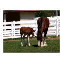 Momma-Baby posters by Quiltstar Momma-Baby posters