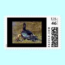 Momma Duck & Little Duckling stamps