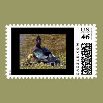 Momma Duck & Little Duckling postage
