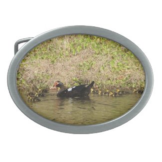 Momma Muscovy and Baby Ducks Belt Buckle