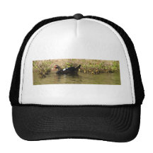 Momma Muscovy and Baby Ducks Hat