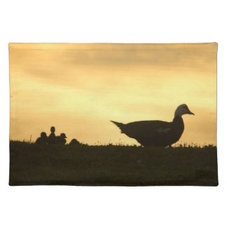 Momma Muscovy Duck and Baby Ducklings at Sunrise