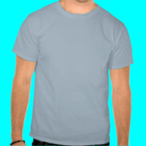 Momma's got a Squeezebox t-shirts