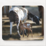 Mommy & Baby Goat
