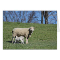 Mommy & Baby Sheep Card
