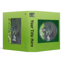 Mommy Raccoon on Suet Binder
