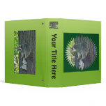Mommy Raccoon on Suet Binder