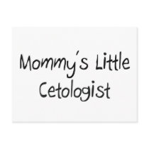 Mommys Little Cetologist postcards by tshirtshirts Mommys Little Cetologist postcards