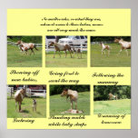 Moms and Babies posters