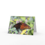 Moms Choice, Hello Card