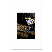 Mom's Daisies posters