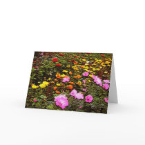 Mom's Garden cards