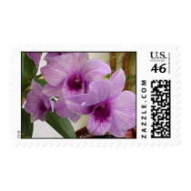 Mom's Orchid Postage postage