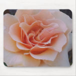 Mom's Peach Rose Mouse Pads