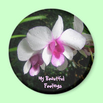 Moms Topic Fashion - combo set - magnet magnets