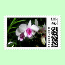 Moms Tropic Fashion - combo - stamp stamps