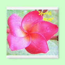Moms Tropic Fashion - magnets magnets