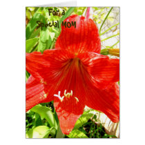 Moms Tropic Fashion - special card by tpeters7 Moms Tropic Fashion - special card