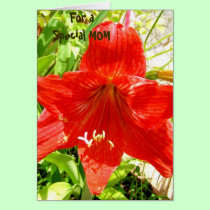 Moms Tropic Fashion - special card cards
