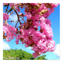 Moms Tropic Fashion - special poster posters