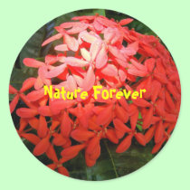Moms Tropic Fashion - special sticker stickers