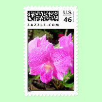 Moms Tropic Fashion - stamps stamps