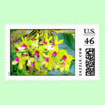Moms Tropical Fashion  - stamp stamps