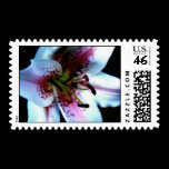 Mona Lisa Lily Postage Stamp stamps