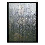 Mona Post Card