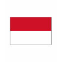 Monaco FLAG International t-shirts