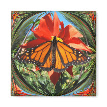 Monarch 256 ~ magnet by Andy2302 Monarch 256 ~ magnet