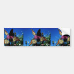 Monarch Butterflies Bumper Stickers