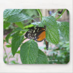 Monarch Butterfly 215, sue peacock Mouse Mat