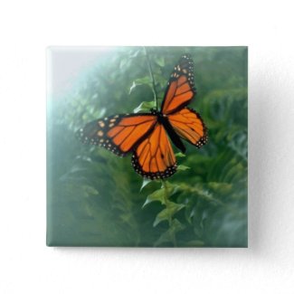 Monarch Butterfly (2) button