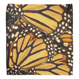 Monarch Butterfly Abstract Do-rags