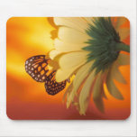 Monarch Butterfly and Daisy Mousepad