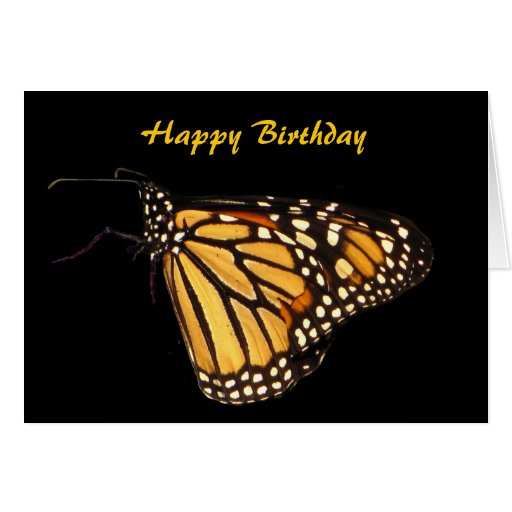 Monarch Butterfly Birthday Greeting Card Zazzle