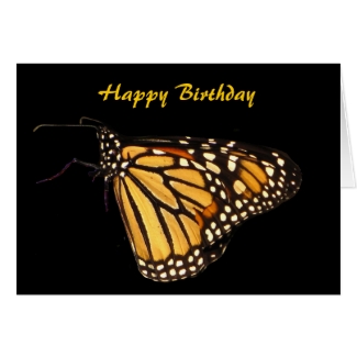 Monarch Butterfly Birthday