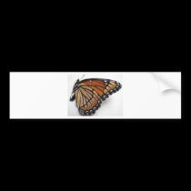 Monarch Butterfly bumper stickers
