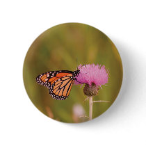 Monarch Butterfly Button