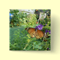 Monarch Butterfly buttons