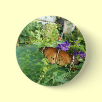 Monarch Butterfly buttons