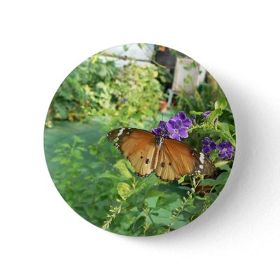 Monarch Butterfly Pins by Yarijik