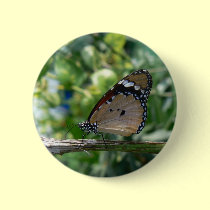 Monarch butterfly buttons