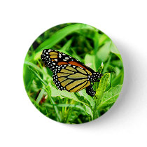 Monarch Butterfly Button