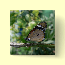 Monarch butterfly buttons