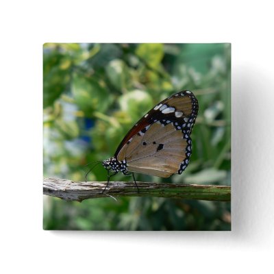 Monarch butterfly pins by Yarijik