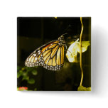 Monarch Butterfly Buttons