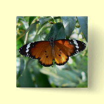 Monarch Butterfly buttons