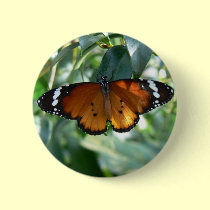 Monarch Butterfly buttons